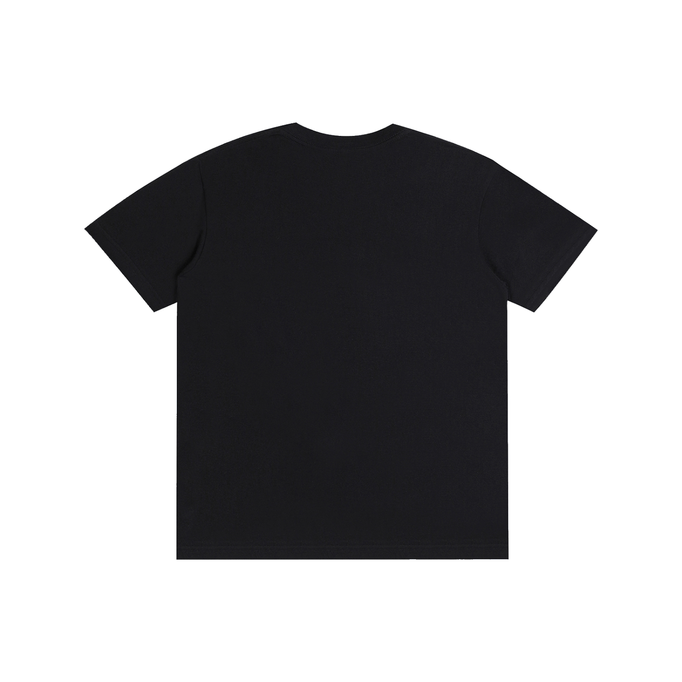 ANIMUS ACCENSUS T-Shirt